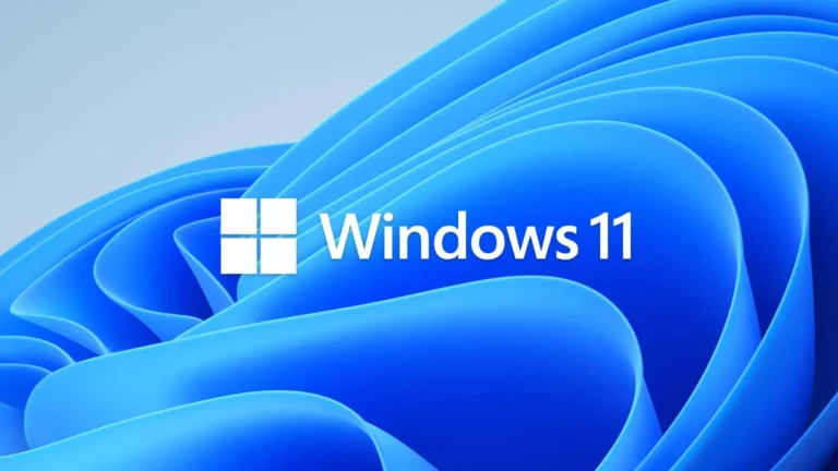 Windows 11 License